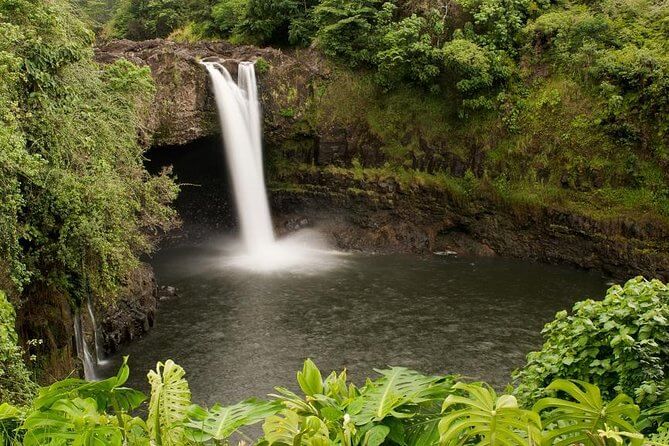 Kona Coffee Farm in Hawaii Tours - Big Island Circle Tour and Volcano: Coffee, Wine, Waterfalls, and Hamakua Coast