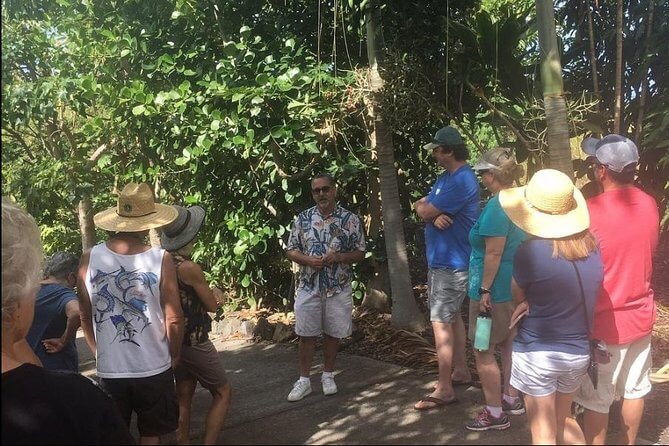 Kona Coffee Farm in Hawaii Tours - Coffee and Chocolate Tours Plus Gift Shop