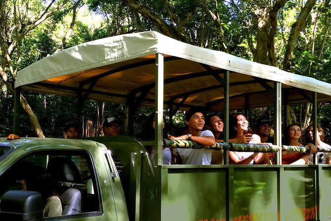 Jurassic Park Tour in Hawaii - Kualoa Ranch - Jungle Expedition Tour