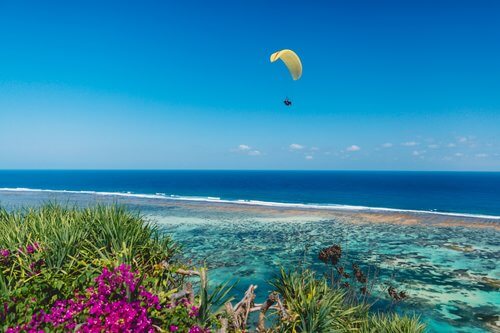 Hawaii Parasailing Experience