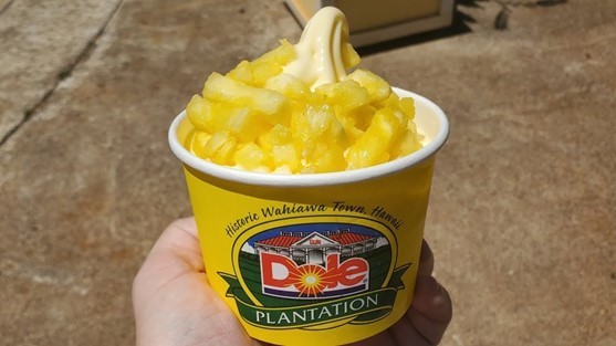 Pineapple Farm Tours Maui – Dole Plantation Pineapple Ice Cream