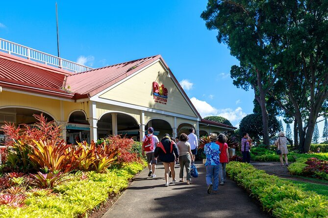 Pineapple Farm Tours Maui - Oahu Circle Island Tour + Pineapple!