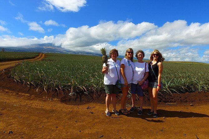 Pineapple Farm Tours Maui - Pineapple Fields