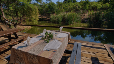 Best 3 Day Kruger Safari Adventure from Johannesburg